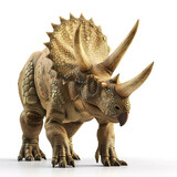 Triceratops, realistic illustration of the dinosaur isolated on white background
