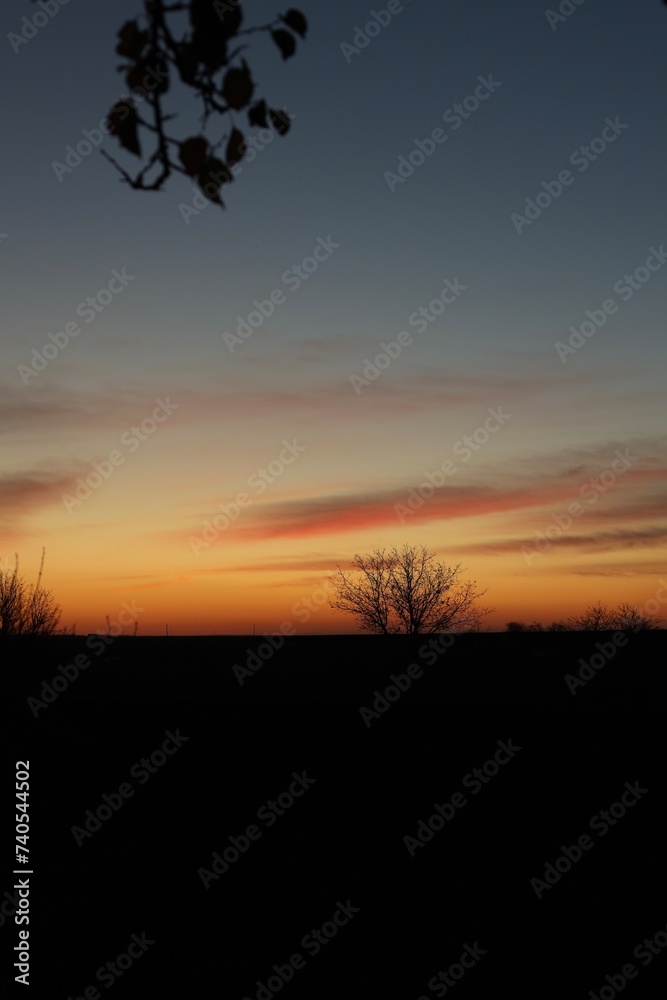 Fototapeta premium sunset in the forest