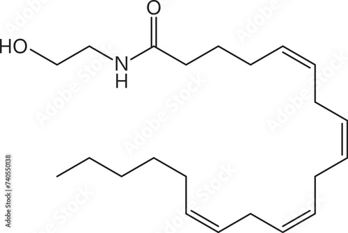 Neurotransmitter, Anandamide ANA chemical formula and molecule, vector molecular structure. Anandamide or N-arachidonoylethanolamine, fatty acid neurotransmitter molecular structure for neuroscience
