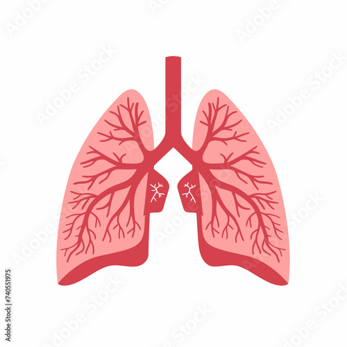 Lungs Minimalist Flat Design