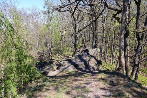 Felsen am Hahnenkamm im Spessart photo