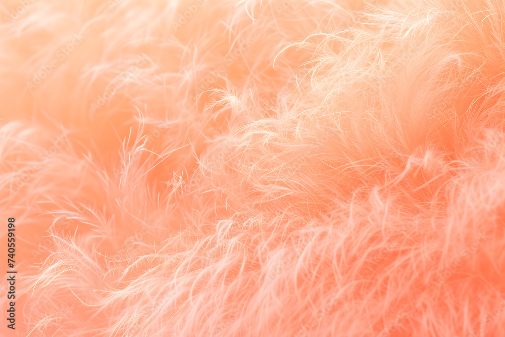 Peach fuzz color fluffy fur background Peach fuzz color fluffy fur background
