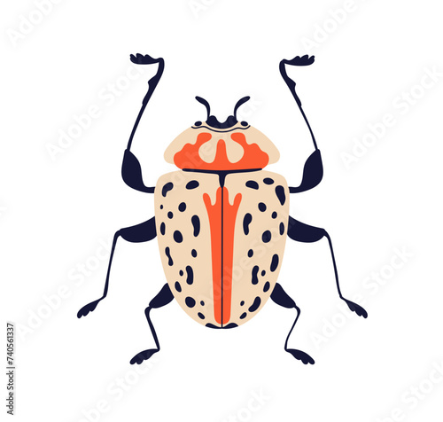 Spotted beetle. Fancy fiction wild bug icon, top view. Fantasy fauna species....
