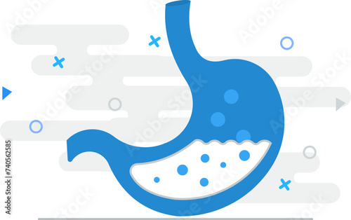 Stomach