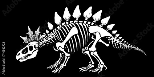 Stegosaurus Skeleton Illustration © Hungarian