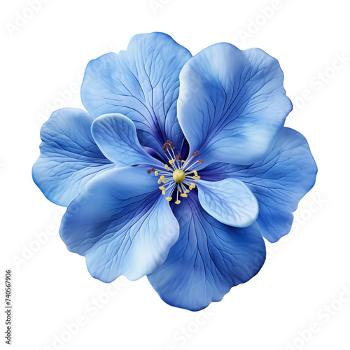 Blue flower isolated on transparent background © Nitin