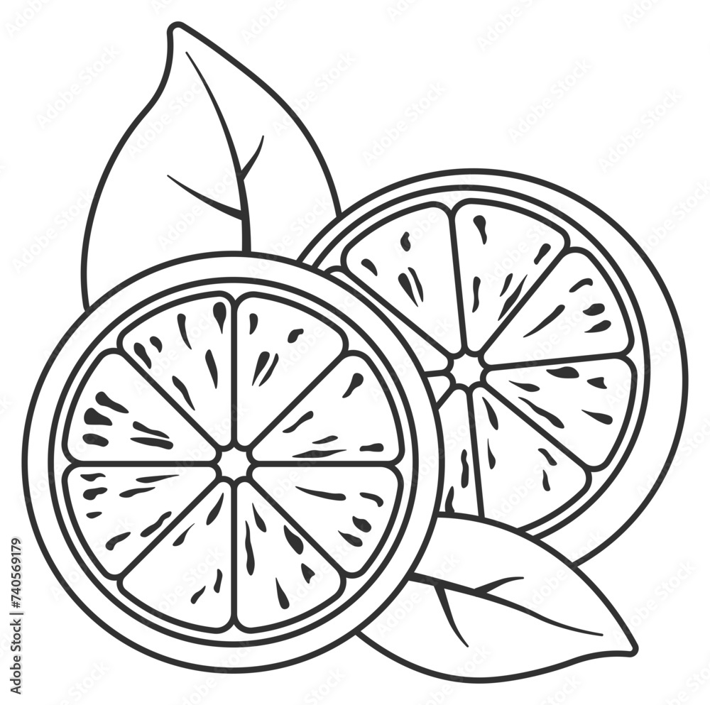 black and white lemon drawing without background black and white lemon drawing without background