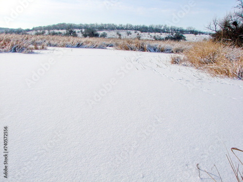 Wallpaper Mural Panorama of a perfectly clean snow-white frozen surface of a steppe pond surrounded by dried sedge bushes under the rays of the frosty sun. Torontodigital.ca