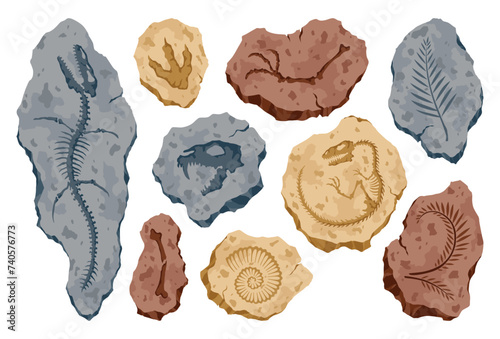 Archeology fossil stones with prints of Jurassic dinosaur bones and reptile, extinct plants. Archeology and paleontology reptile footprints, plants and bones. Cartoon vector illustration
