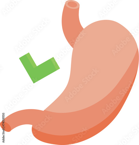 Healthy stomach icon isometric vector. Computer health. Record medical