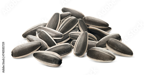 Big sunflower seeds pile with shadow isolated on white background. Side view photo