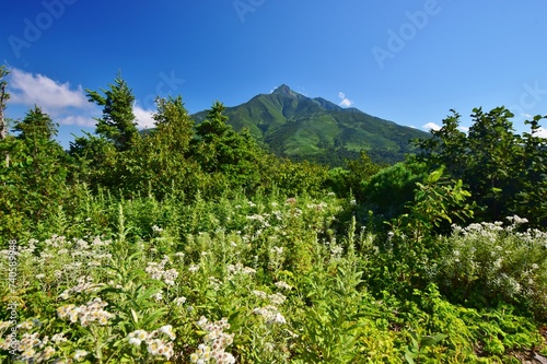 利尻島の夏景色 © sada