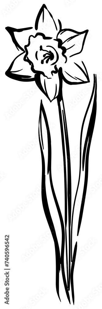 Black and white silhouette Illustration. Abstract hand-drawn flower in minimalist style. Black and white silhouette Illustration. Abstract hand-drawn flower in minimalist style.