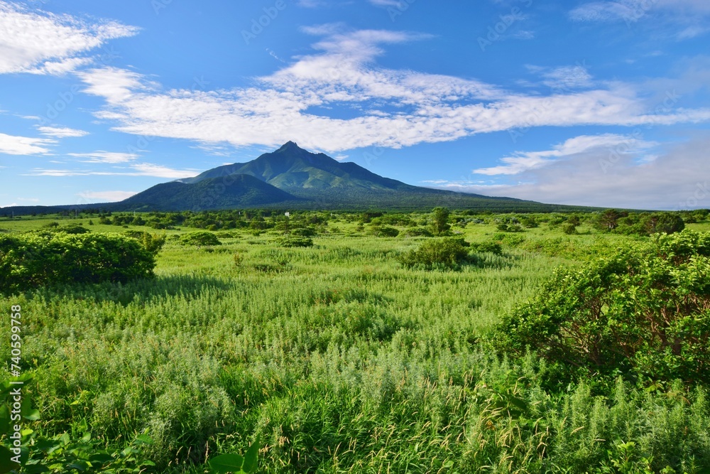 Obraz premium 利尻島の夏景色