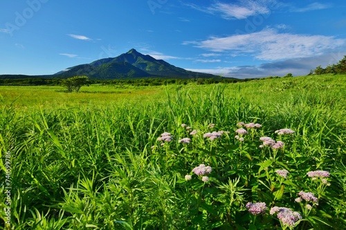 利尻島の夏景色