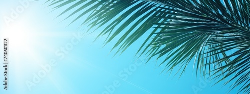 Tropical Serenity: Palm Leaves Basking in the Warmth of a Summer Sky - Generative AI