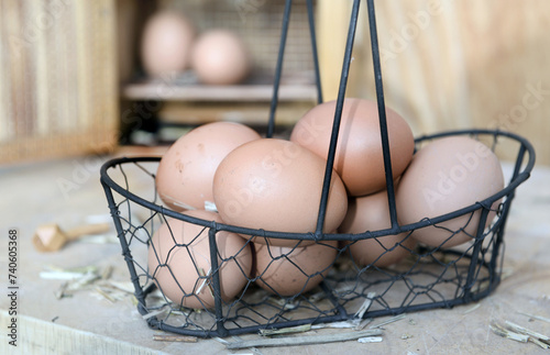 chicken eggs collected in little metal basket in front of a opening eggs box ...