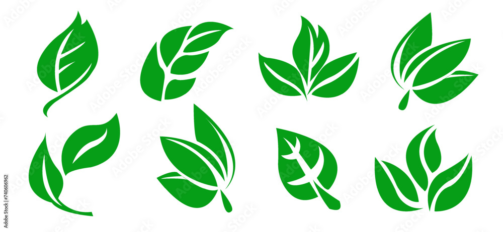 A set of green leaves on a white background, for logos, designs, for the symbolism of the green planet