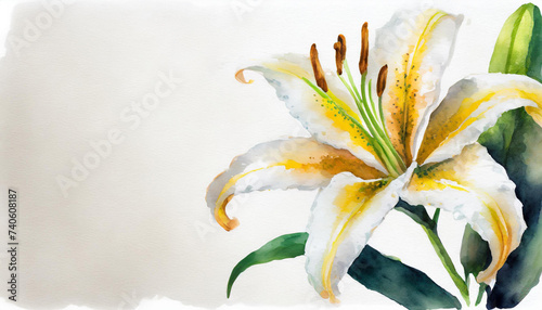 Watercolour of a lily on pure white background canvas  copyspace on a side