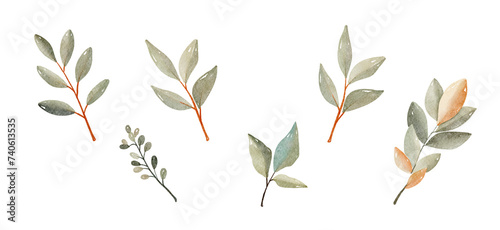 Watercolor leaves set. Set with floral elements and leaves.