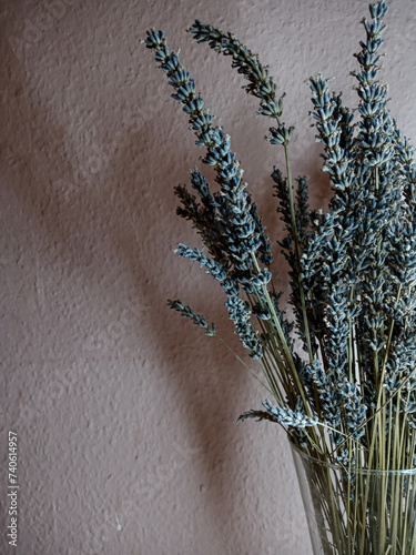 a bunch of lavender in a bouquet in a glass vase on a pink wall background