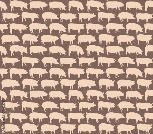 The seamless background with domestic pigs.