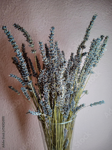 a bouquet of lavender in a glass vase on the background of a pink wall
