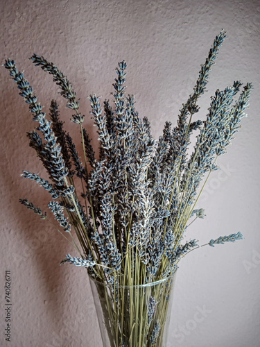 a bouquet of lavender in a glass vase on the background of a pink wall