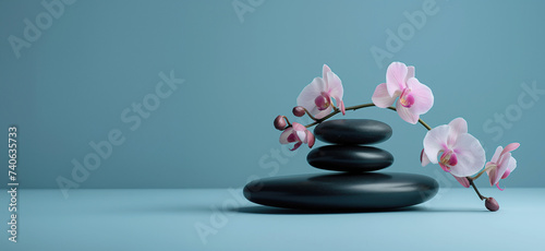 Delicate orchids on smooth black spa stones against a soft blue backdrop, with copy-space. Spa Aesthetics