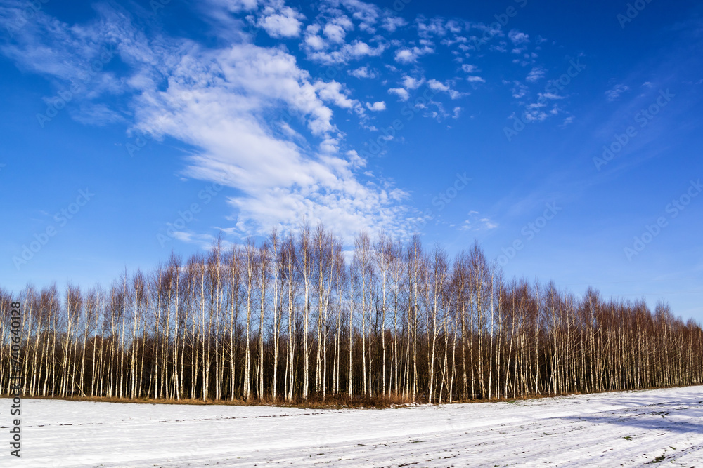 Bajkowe krajobrazy Doliny Górnej Narwi, Podlasie, Polska