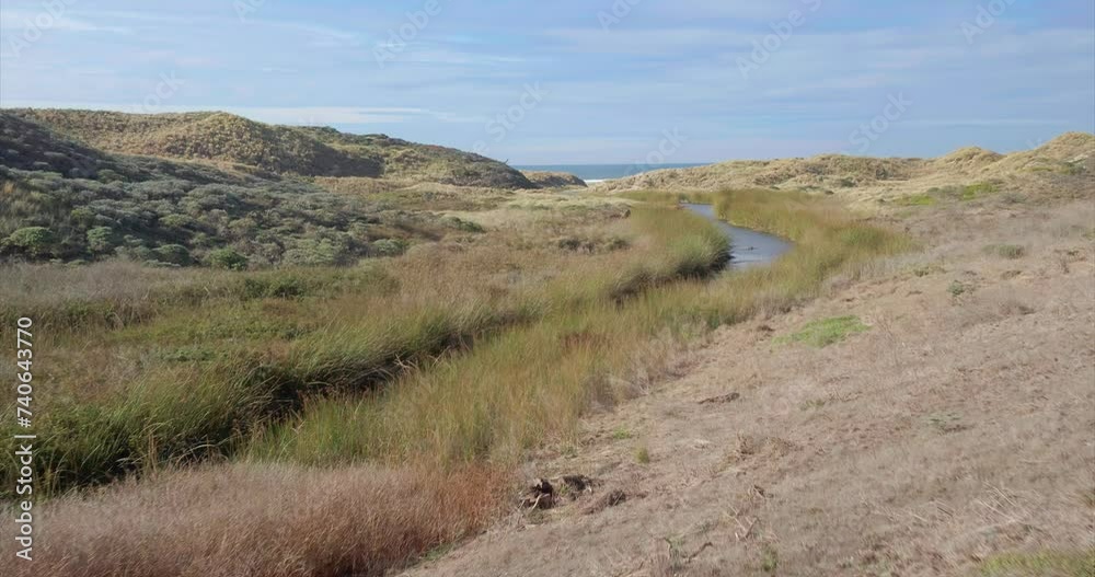 Aerial: Grass wetlands, dunes and beach in point Reyes. San Francisco, California, USA Aerial: Grass wetlands, dunes and beach in point Reyes. San Francisco, California, USA
