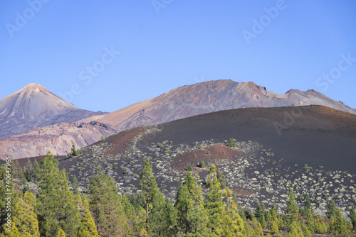 Pico del Teide with pine tree forest