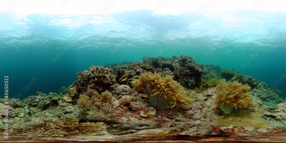 Underwater world scenery of tropical fish and corals. Marine life. Virtual Reality 360.