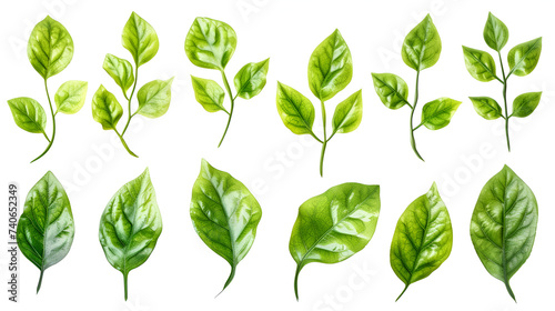 Set of fresh green leaves, cut out, on vibrant background, illustrating nature's beauty, perfect for eco-friendly designs. Generative Ai

