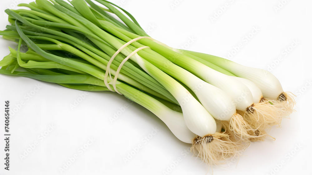 Green onion on white background Green onion on white background