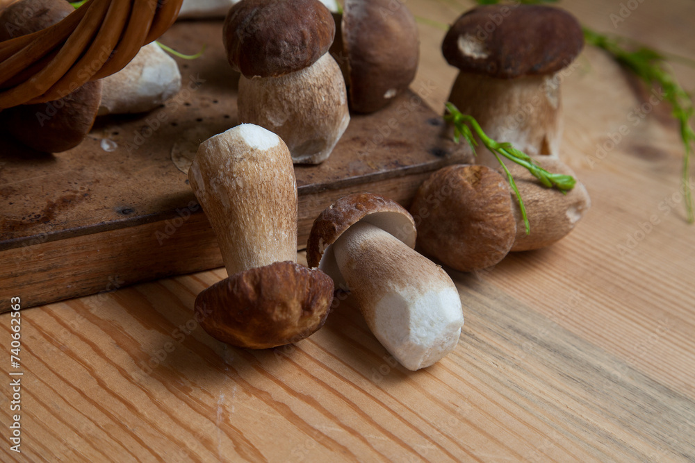 Selective focus on beautyfull porcini mushroom among the pile of wild porcini mushrooms on wooden background at autumn season.. Selective focus on beautyfull porcini mushroom among the pile of wild porcini mushrooms on wooden background at autumn season..