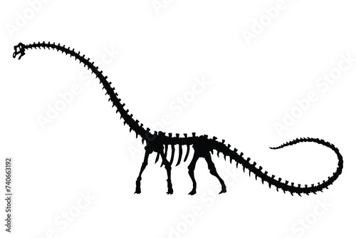 Dinosaur skeleton. Dino monsters icon. Shape of real animal. Sketch of prehistoric reptiles. Vector illustration isolated on white. Hand drawn sketch © designer_things