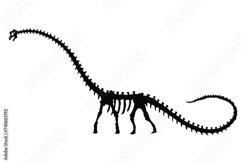 Dinosaur skeleton. Dino monsters icon. Shape of real animal. Sketch of prehistoric reptiles. Vector illustration isolated on white. Hand drawn sketch