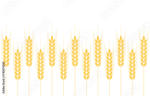 Wheat pattern wallpaper. oat symbol. free space for text. copy space. Wheat or Rice frame.