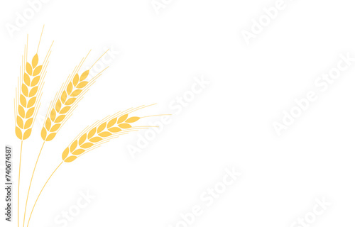 Wheat pattern wallpaper. oat symbol. free space for text. copy space. Wheat or Rice frame.