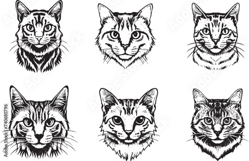 Fototapeta Naklejka Na Ścianę i Meble -  Set of cat heads with different calm expressions of the muzzle. Symbols for tattoo, emblem or logo, isolated on a white background.