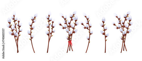 Collection of willow branches. Spring willow branch, Easter bouquet. Vector illustration isolated on white background.
