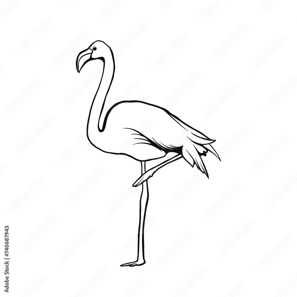 Fototapeta premium outline illustration of a flamingo