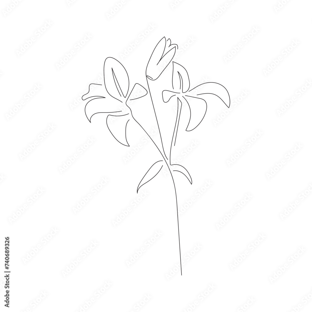 lily flower isolated in line art drawing style on white background for logo, wallpapers lily flower isolated in line art drawing style on white background for logo, wallpapers