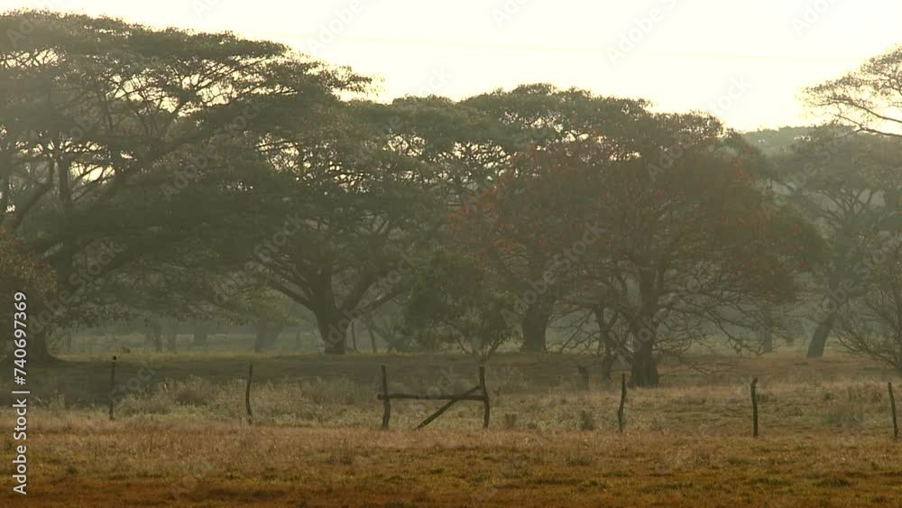 Nouvelle-Calédonie, terre d'élevage, paysages de la Nouvelle-Calédonie, terre d'élevage, paysages de la