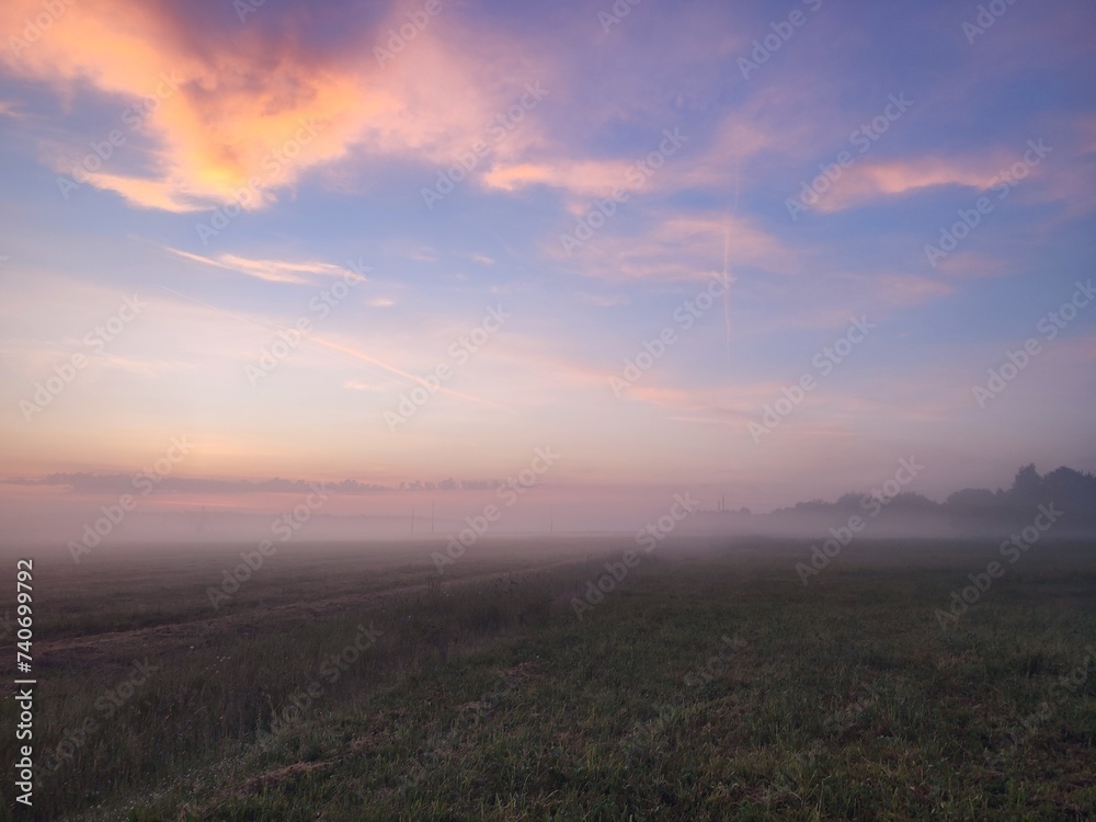 Fototapeta premium purple dawn against the backdrop of beautiful clouds in a field covered with fog