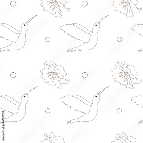 Hummingbird with flower seamless pattern, stylish combination isolated set, ink sketch illustration. Bird background colibri tropical silhouette art. Black and white hand drawn vector image.