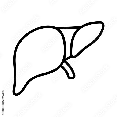Liver