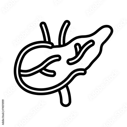 pancreas