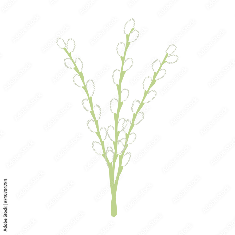 Willow tree branches with catkins hand drawn illustration. Flat style design, isolated vector. Easter holiday clip art, seasonal card, banner, poster, element